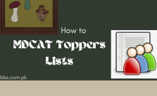 MDCAT Toppers 2024 – All Provinces